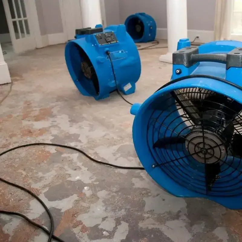 Two blue air movers running on a stripped floor in a Freehold home