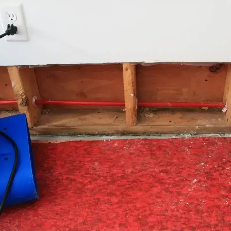 Red carpet below removed drywall with a blue air mover running beside it