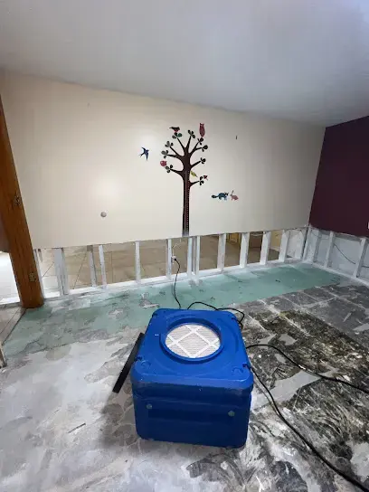 Blue drying unit on a bare floor, drywall cut away, beside a tree wall decal in Hightstown, NJ