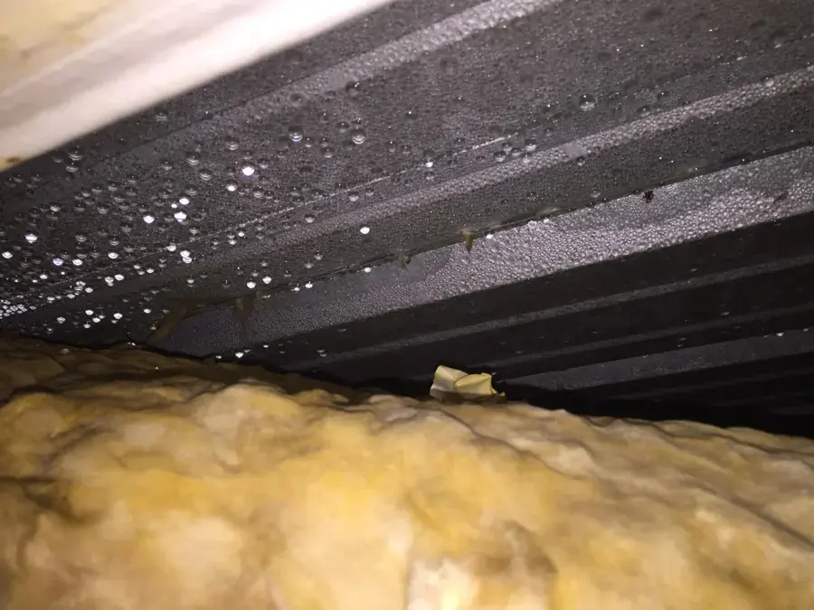 Water droplets on the underside of the roof deck above wet attic insulation in a Monroe Township home